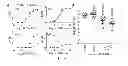 Fig. 11 - Compositions and methods related to antibodies to staphylococcal protein A