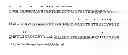 Fig. 07 - ANTI-NERVE GROWTH FACTOR ANTIBODIES AND METHODS OF PREPARING AND USING THE SAME