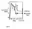 Fig. 13 - ANTI-NERVE GROWTH FACTOR ANTIBODIES AND METHODS OF PREPARING AND USING THE SAME