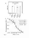 Fig. 02 - THERAPEUTIC CANINE IMMUNOGLOBULINS AND METHODS OF USING SAME
