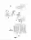 Fig. 10 - Compositions and methods for the treatment of neuromyelitis optica