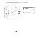 Fig. 07 - Antibody recognizing N-domain of midkine