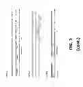 Fig. 04 - COMPOSITIONS AND METHODS OF USE FOR MGD-CSF IN DISEASE TREATMENT