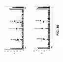 Fig. 13 - COMPOSITIONS AND METHODS OF USE FOR MGD-CSF IN DISEASE TREATMENT