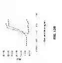 Fig. 16 - COMPOSITIONS AND METHODS OF USE FOR MGD-CSF IN DISEASE TREATMENT