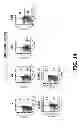 Fig. 18 - COMPOSITIONS AND METHODS OF USE FOR MGD-CSF IN DISEASE TREATMENT
