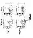 Fig. 19 - COMPOSITIONS AND METHODS OF USE FOR MGD-CSF IN DISEASE TREATMENT