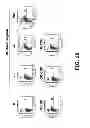 Fig. 20 - COMPOSITIONS AND METHODS OF USE FOR MGD-CSF IN DISEASE TREATMENT