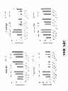 Fig. 24 - COMPOSITIONS AND METHODS OF USE FOR MGD-CSF IN DISEASE TREATMENT