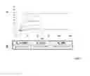 Fig. 07 - Compositions and methods of use for antibodies of Dickkopf-1