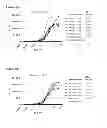 Fig. 14 - BISPECIFIC ANTIBODIES AGAINST HER2 AND CD3