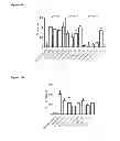 Fig. 18 - BISPECIFIC ANTIBODIES AGAINST HER2 AND CD3