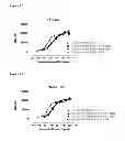 Fig. 23 - BISPECIFIC ANTIBODIES AGAINST HER2 AND CD3