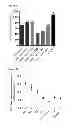 Fig. 27 - BISPECIFIC ANTIBODIES AGAINST HER2 AND CD3
