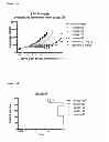 Fig. 31 - BISPECIFIC ANTIBODIES AGAINST HER2 AND CD3