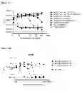 Fig. 32 - BISPECIFIC ANTIBODIES AGAINST HER2 AND CD3
