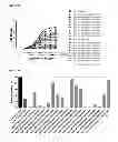 Fig. 41 - BISPECIFIC ANTIBODIES AGAINST HER2 AND CD3