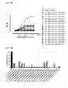 Fig. 45 - BISPECIFIC ANTIBODIES AGAINST HER2 AND CD3