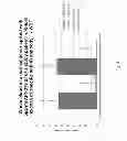 Fig. 05 - Method for treating a GD2 positive cancer