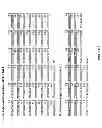 Fig. 02 - Conditionally active anti-epidermal growth factor receptor antibodies and methods of use thereof