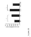Fig. 10 - METHODS AND COMPOSITIONS FOR TREATING CONDITIONS ASSOCIATED WITH ANGIOGENESIS USING A VASCULAR ADHESION PROTEIN-1 (VAP-1) INHIBITOR