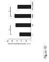 Fig. 11 - METHODS AND COMPOSITIONS FOR TREATING CONDITIONS ASSOCIATED WITH ANGIOGENESIS USING A VASCULAR ADHESION PROTEIN-1 (VAP-1) INHIBITOR