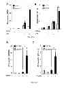 Fig. 03 - Methods of generating hyper iNOS expressing cells and uses thereof