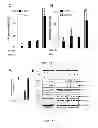 Fig. 05 - Methods of generating hyper iNOS expressing cells and uses thereof