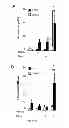 Fig. 06 - Methods of generating hyper iNOS expressing cells and uses thereof