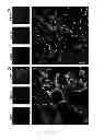 Fig. 07 - Methods of generating hyper iNOS expressing cells and uses thereof