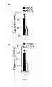 Fig. 14 - Methods of generating hyper iNOS expressing cells and uses thereof