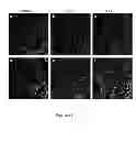 Fig. 17 - Methods of generating hyper iNOS expressing cells and uses thereof