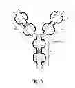 Fig. 07 - BLOCKING ANTIBODY FOR TRANSPLANTATION