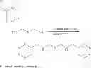 Fig. 33 - NOVEL LIPIDS AND COMPOSITIONS FOR INTRACELLULAR DELIVERY OF BIOLOGICALLY ACTIVE COMPOUNDS