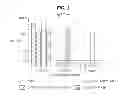 Fig. 03 - Parvovirus Vp1 unique region polypeptides and compositions thereof