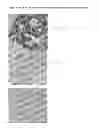 Fig. 02 - Bacterial ribonucleic acid cell wall compositions and methods of making and using them
