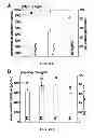 Fig. 12 - Polymeric delivery systems for active agents