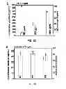 Fig. 13 - Polymeric delivery systems for active agents