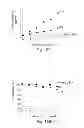 Fig. 13 - Uniform field magnetization and targeting of therapeutic formulations