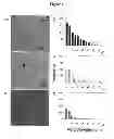 Fig. 02 - Multilayer thin film drug delivery device and methods of making and using the same