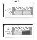 Fig. 12 - Multilayer thin film drug delivery device and methods of making and using the same