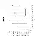 Fig. 02 - TRANSDERMAL PATCH FORMULATION