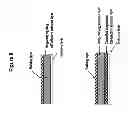 Fig. 09 - TRANSDERMAL PATCH FORMULATION