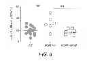 Fig. 07 - METHODS FOR TREATING IMMUNOSUPPRESSION