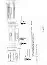 Fig. 02 - COMBINATION THERAPY METHODS FOR TREATING PROLIFERATIVE DISEASES