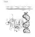 Fig. 02 - Methods for screening inhibitors of tumor associated protein aggregation