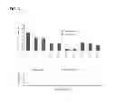 Fig. 04 - Methods for screening inhibitors of tumor associated protein aggregation