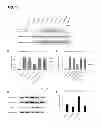 Fig. 18 - Methods for screening inhibitors of tumor associated protein aggregation