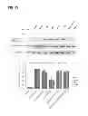 Fig. 19 - Methods for screening inhibitors of tumor associated protein aggregation