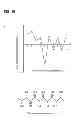Fig. 22 - Methods for screening inhibitors of tumor associated protein aggregation